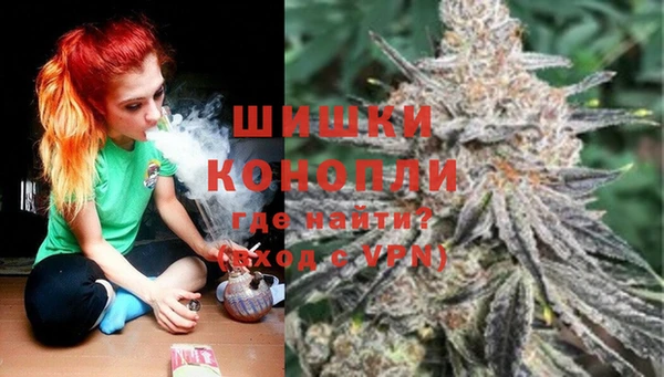 гидра Балахна