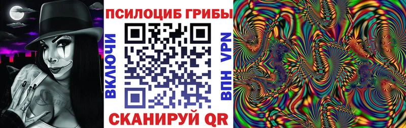 продажа наркотиков  Южноуральск  Галлюциногенные грибы Magic Shrooms 